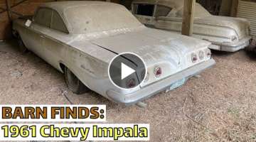 BARN FINDS| 1961 Impala parked for 28 years! #thedustybubble