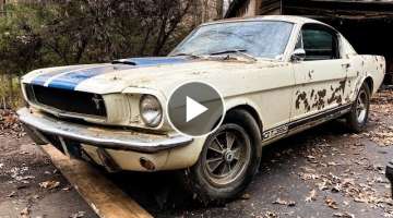 1965 Shelby GT350 Mustang Found and Rescued! Must Watch!
