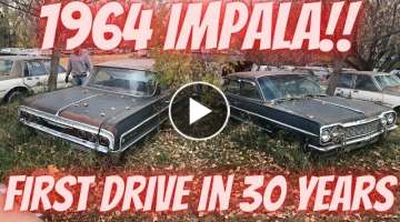 Saved from the salvage yard! 1964 Chevy Impala! Off the road for 28 years! Will it run?!?