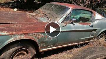 1967 Mustang 390 GT Fastback Barn Find, Parked Since 1973, Price Revealed