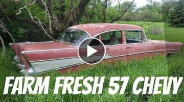 ABANDONED 1957 Chevy BelAir will it run and drive after sitting for YEARS! - Farm Field Rescue