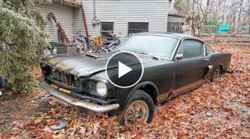 Recovered: 1966 Shelby Mustang GT350H sunk in Ohio backyard 40 years