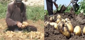 10-gjerasss-720x340-1-681x322-1-2