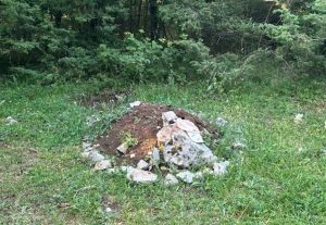 900-0-1750087109xwmremove-transformed-2-815