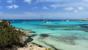 99636481-14838593-image-a-5_1750683810905_sd