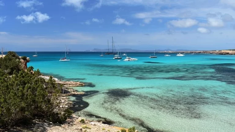 Tm*rr i madh! Pamje h*rror në plazhin e njohur, dalin në breg 5 k*foma