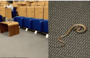 Screenshot_20250610_233007_Gallery