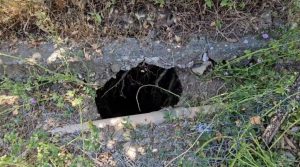 belsh-gropa-1024x571-1