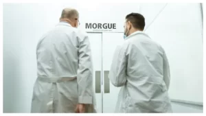 640-0-1753173478xobitorio-foto-free-pexels-812