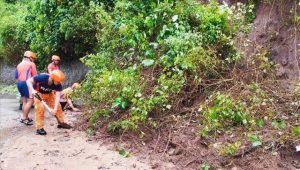 -640-0-4eb6aec33c6061ad1db8d113aa56a887