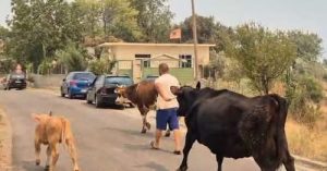 12013261194637160364