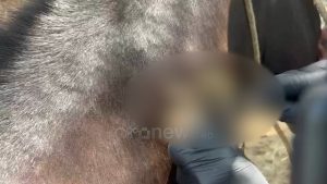 -640-0-whatsapp-image-2025-08-08-at-080710-1754636851