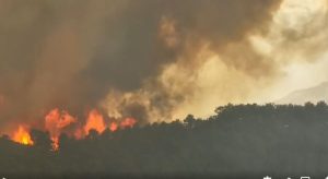 -900-0-1755063680xflaket1jpg-177