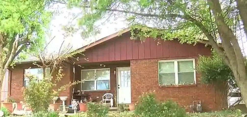 6 pitbullë kafshojnë për vd*kje një vajzë 4-vjeçare pasi halla e saj ndërroi jetë papritur