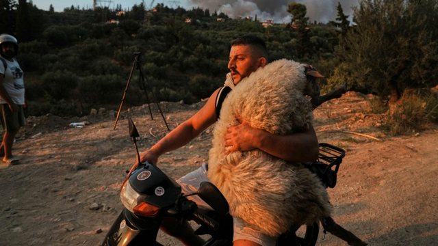 Shqiptari hero i zjarreve në Greqi, mori delen në krahë për t’i shpëtuar zjarrit: 33 vite këtu e s’ma kanë dhënë shtetësinë ende