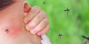 virusi-nilit_sd-750x375-1