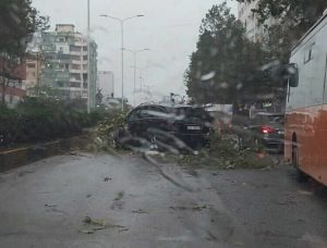 wmremove-transformed-2-5-750x570