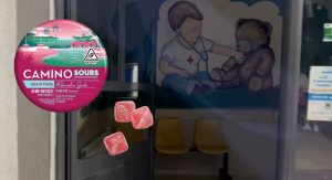 dfsgdsfgdfsgdsfgdafg