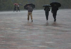 reshje-shiu-tirane--1024x705