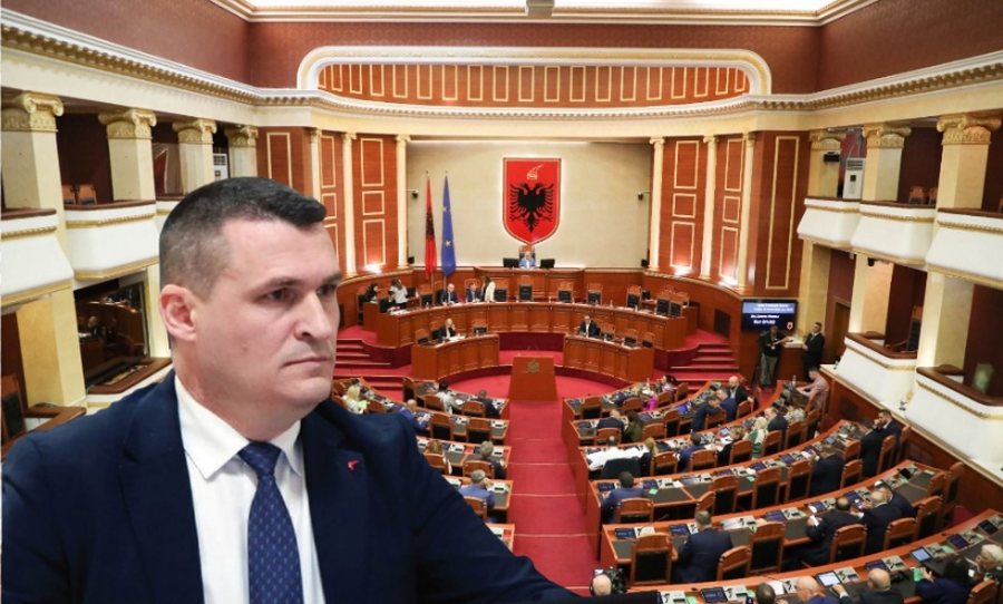 Kush eshte Deputetja e PD që është k*rcënuar se do ti rr*mbehet vajza! Tr*ndit Noka: Ja cfare beri Altin Dumani