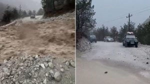 900-0-1763399729x1763398333-shkoder-921