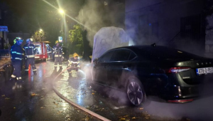 900-0-1764351007xscreenshot-14-818