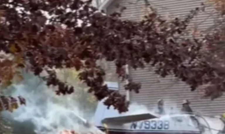 Tra*gjedi! Rrëzohet aeroplani, VD*S në vendngjarje piloti, në gjendje kritike..