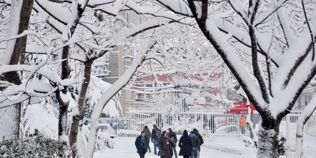 Pas shiut vjen acari, meteorologia jep lajmin e forte çfarë ndodh me motin gjatë javës tjetër