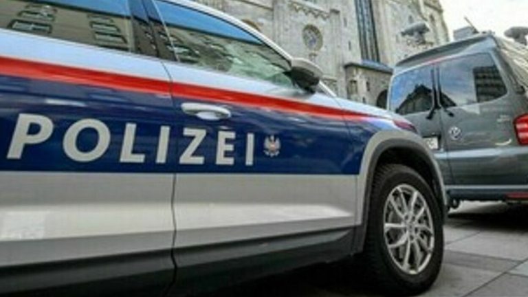 Të ZHD*KURA prej më shumë se një viti, tr*pat e nënës dhe vajzës gjenden brenda FRIGORIFERIT