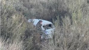 900-0-1765825005xscreenshot-223-379