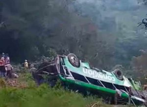 autobusi-meksike-781x570-1