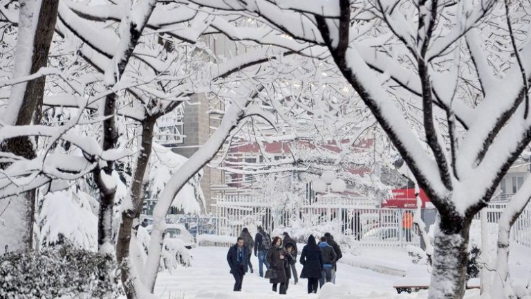 Lajm fantastik, ja cfare ndodh me motin neser, do gezoheni