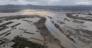 900-0-1769790604x623402853-1342188811285467-7396136506295133752-n-295