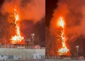 900-0-1771874135xwmremove-transformed-114