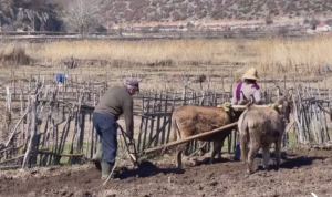 Screenshot-2026-02-19T225821.432