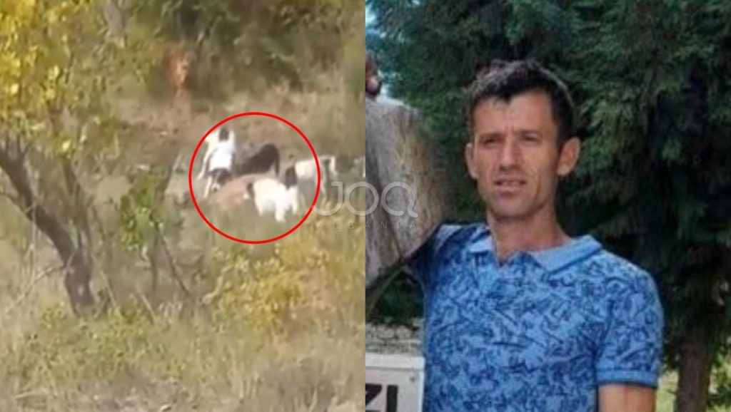 e keqja i ndodh Mallakastriotit
