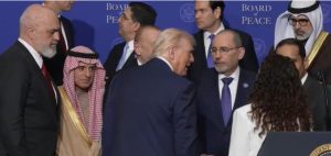 auto_-640-0-699abc0a77bc517717526611-1