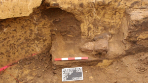 ipMm7z3Fz2WZcRtf8fT87K