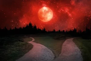 depositphotos_369963744-stock-photo-fork-road-night-lost-forest