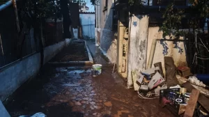 -900-0-1775110625xnea-makri-mak-128