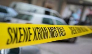Zbardhen detaje te reja polii